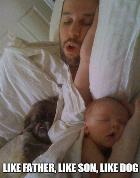 Bildschirmarbeiter - Picdump 06.11.2015