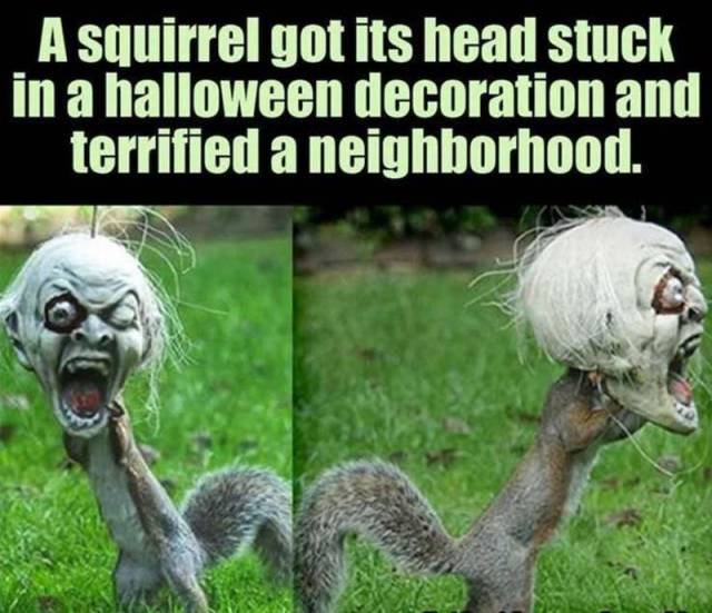 Bildschirmarbeiter - Picdump 06.11.2015