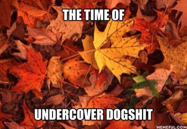 Bildschirmarbeiter - Picdump 06.11.2015