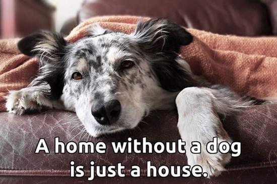 Bildschirmarbeiter - Picdump 06.11.2015