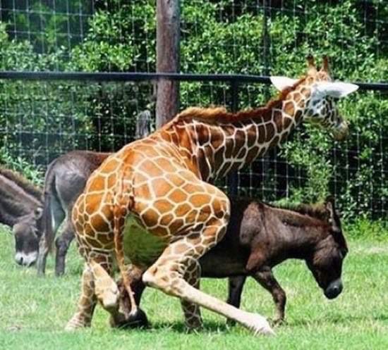 Bildschirmarbeiter - Picdump 06.11.2015