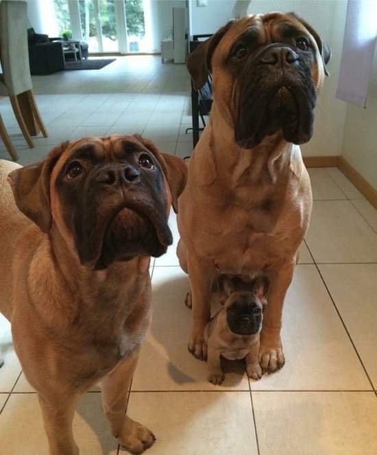 Bildschirmarbeiter - Picdump 06.11.2015