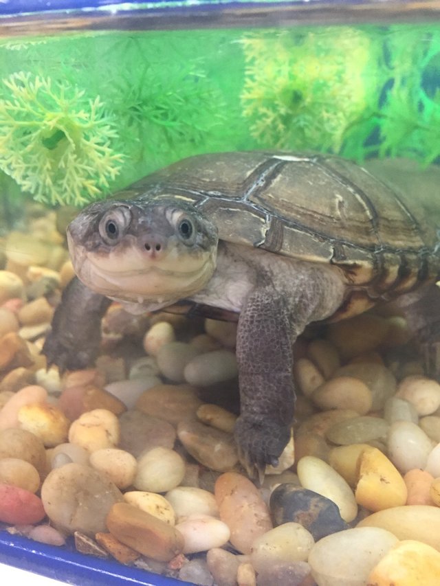 Bildschirmarbeiter - Picdump 13.11.2015