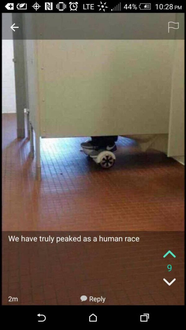 Bildschirmarbeiter - Picdump 13.11.2015