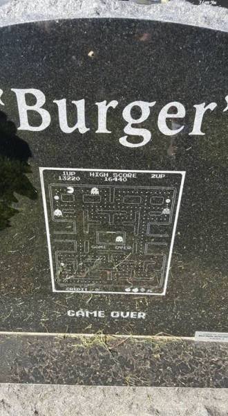 Bildschirmarbeiter - Picdump 13.11.2015