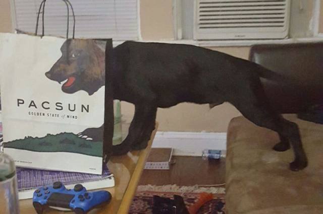 Bildschirmarbeiter - Picdump 13.11.2015