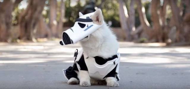 Bildschirmarbeiter - Picdump 13.11.2015