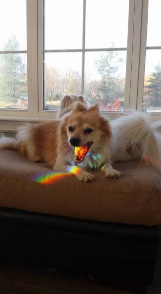 Bildschirmarbeiter - Picdump 13.11.2015