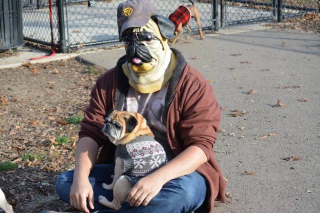 Bildschirmarbeiter - Picdump 13.11.2015