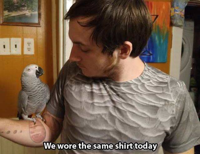 Bildschirmarbeiter - Picdump 13.11.2015