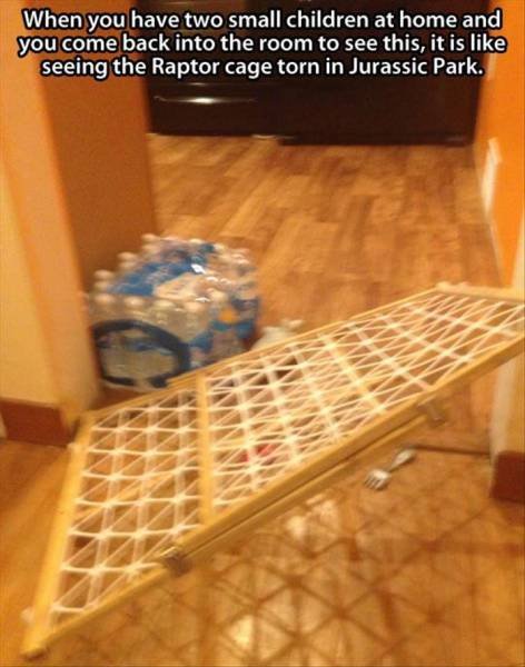 Bildschirmarbeiter - Picdump 13.11.2015