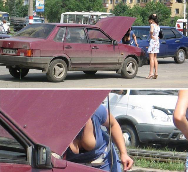 Bildschirmarbeiter - Picdump 13.11.2015