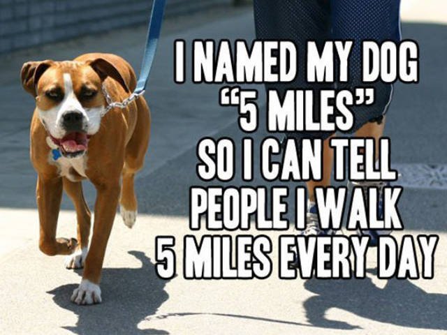 Bildschirmarbeiter - Picdump 13.11.2015