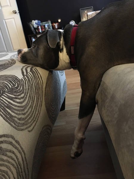 Bildschirmarbeiter - Picdump 13.11.2015