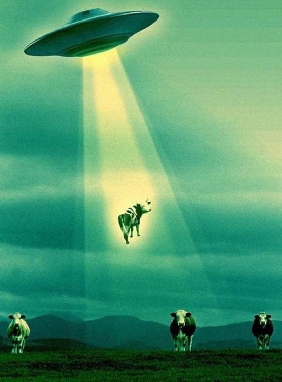 Bildschirmarbeiter - Picdump 13.11.2015