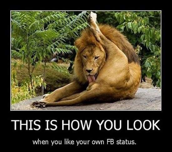 Bildschirmarbeiter - Picdump 13.11.2015