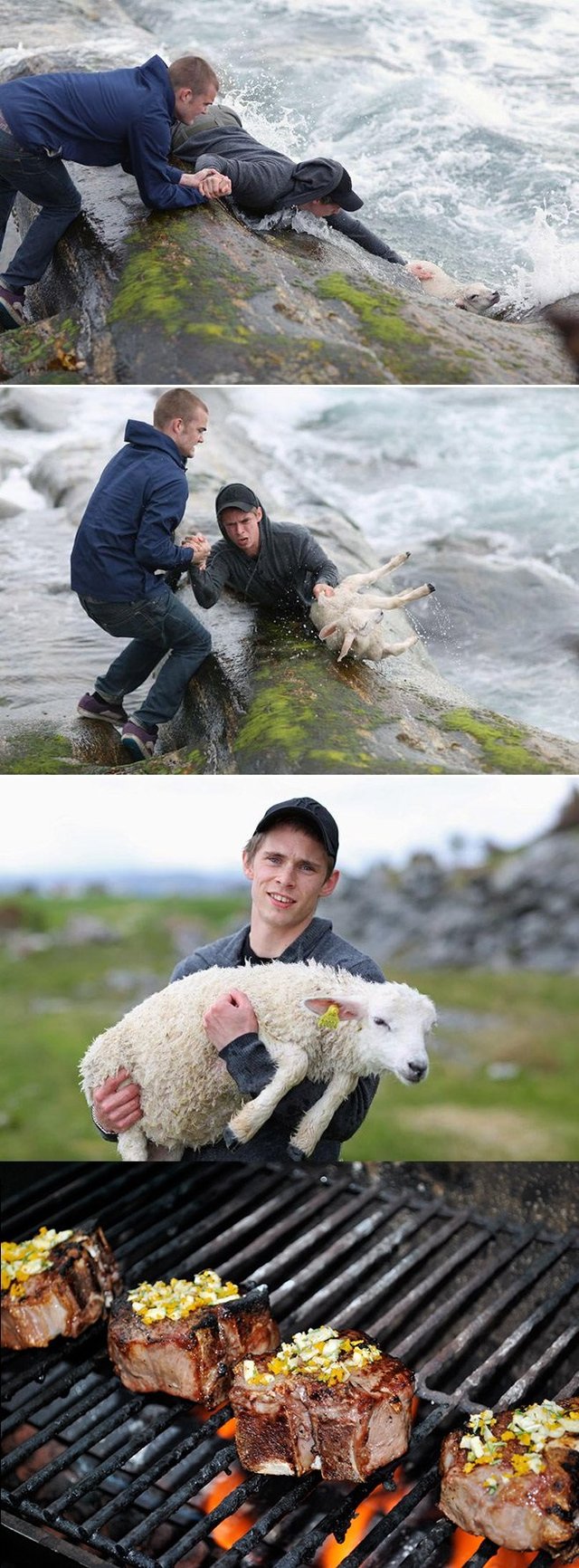 Bildschirmarbeiter - Picdump 13.11.2015