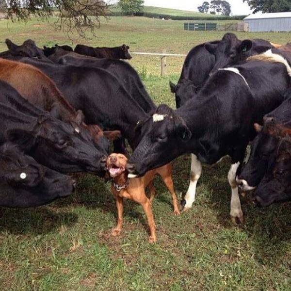 Bildschirmarbeiter - Picdump 13.11.2015