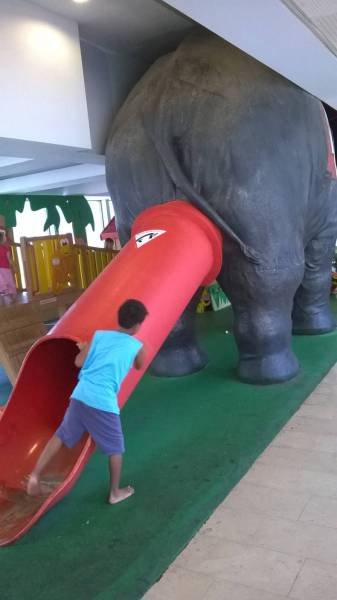 Bildschirmarbeiter - Picdump 20.11.2015