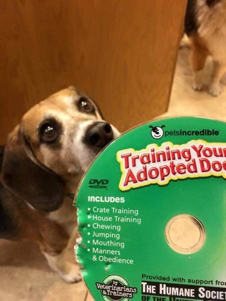 Bildschirmarbeiter - Picdump 20.11.2015