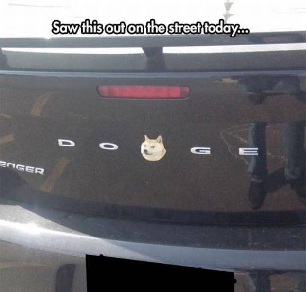 Bildschirmarbeiter - Picdump 20.11.2015