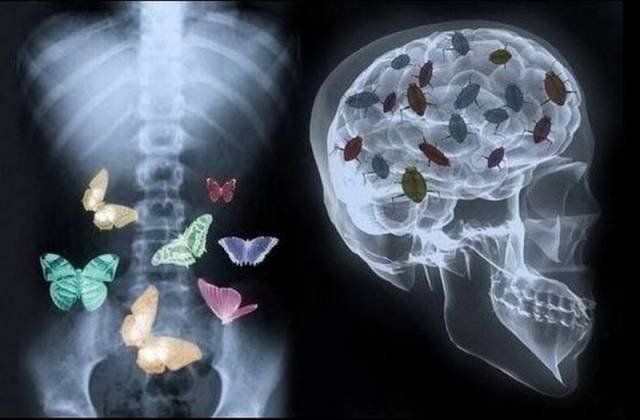 Bildschirmarbeiter - Picdump 20.11.2015