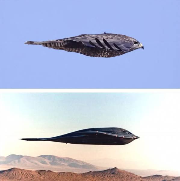 Bildschirmarbeiter - Picdump 20.11.2015