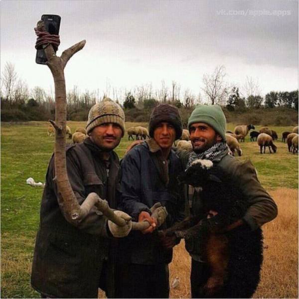 Bildschirmarbeiter - Picdump 20.11.2015