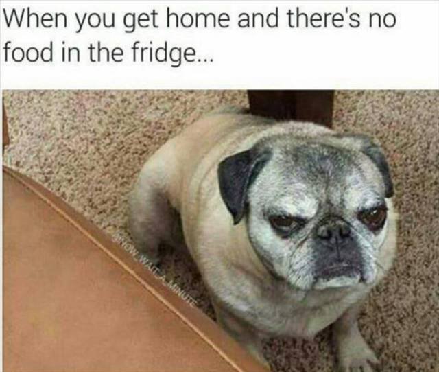 Bildschirmarbeiter - Picdump 20.11.2015