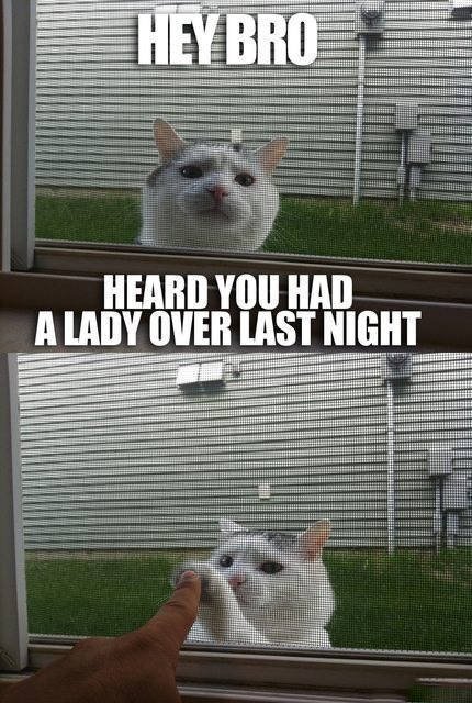 Bildschirmarbeiter - Picdump 20.11.2015