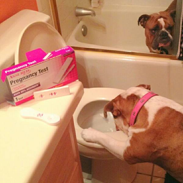 Bildschirmarbeiter - Picdump 20.11.2015