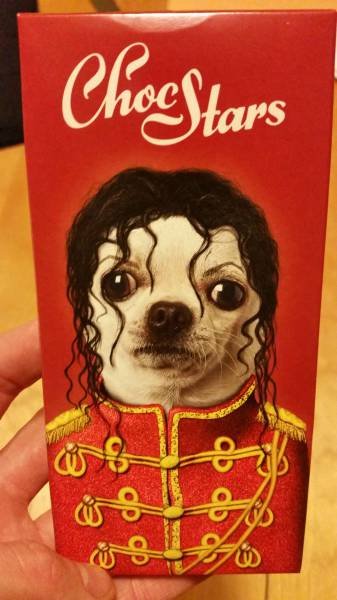 Bildschirmarbeiter - Picdump 20.11.2015