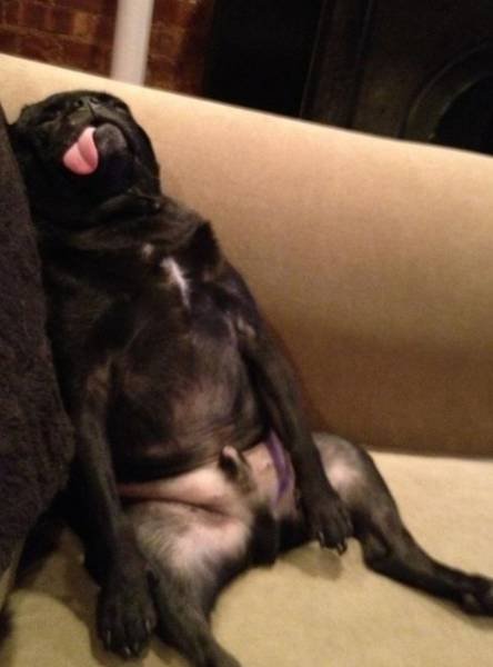 Bildschirmarbeiter - Picdump 20.11.2015