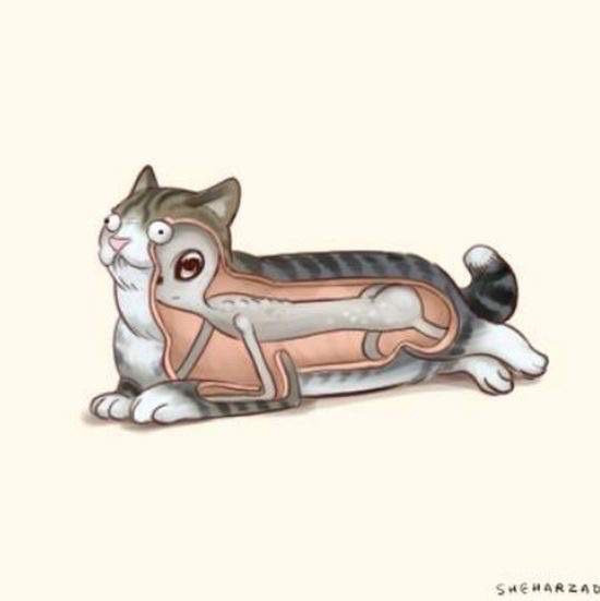 Bildschirmarbeiter - Picdump 20.11.2015