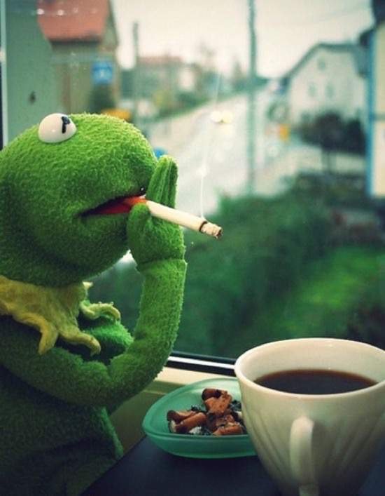 Bildschirmarbeiter - Picdump 20.11.2015