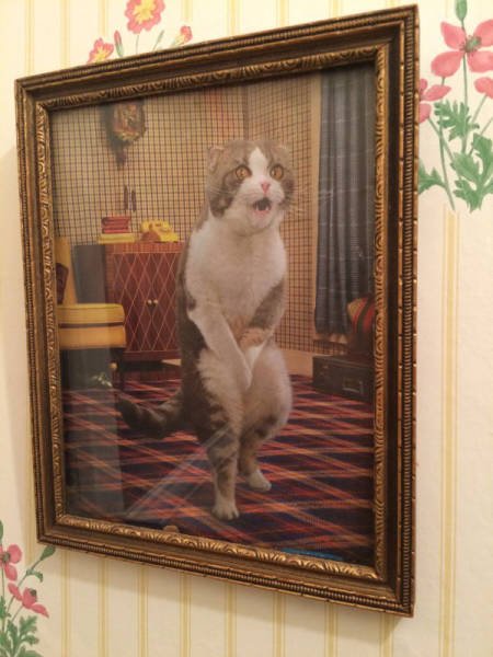 Bildschirmarbeiter - Picdump 20.11.2015