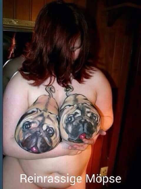 Bildschirmarbeiter - Picdump 27.11.2015