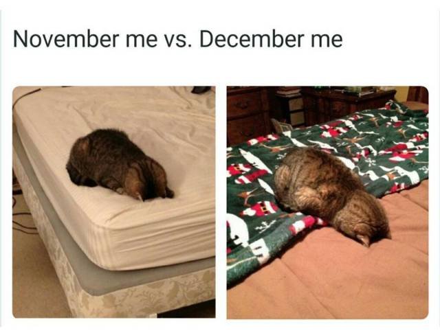 Bildschirmarbeiter - Picdump 27.11.2015