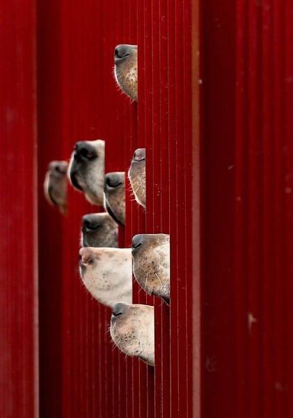 Bildschirmarbeiter - Picdump 27.11.2015