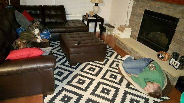 Bildschirmarbeiter - Picdump 27.11.2015