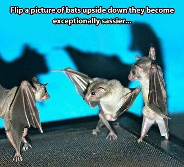 Bildschirmarbeiter - Picdump 27.11.2015