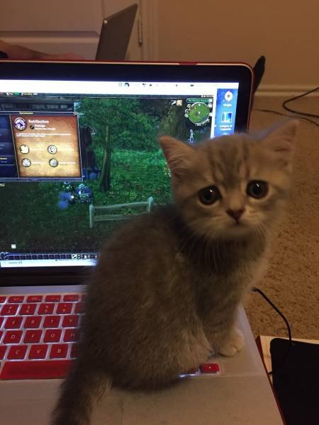 Bildschirmarbeiter - Picdump 27.11.2015