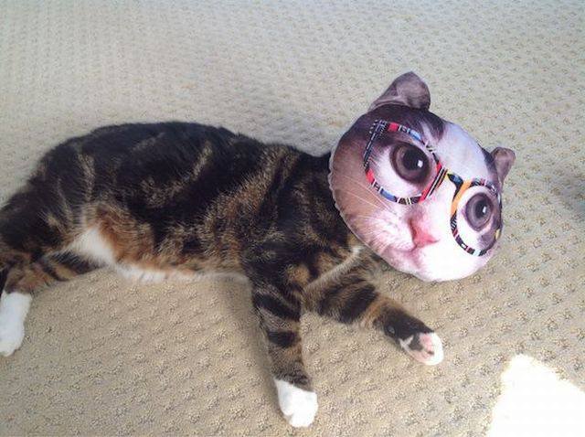 Bildschirmarbeiter - Picdump 27.11.2015