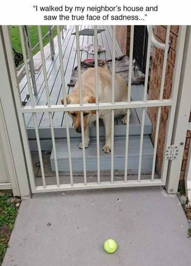 Bildschirmarbeiter - Picdump 27.11.2015