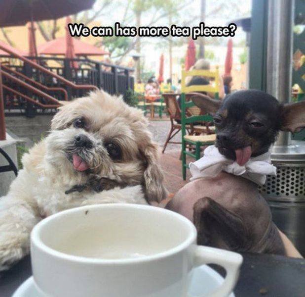 Bildschirmarbeiter - Picdump 27.11.2015