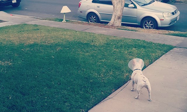 Bildschirmarbeiter - Picdump 27.11.2015