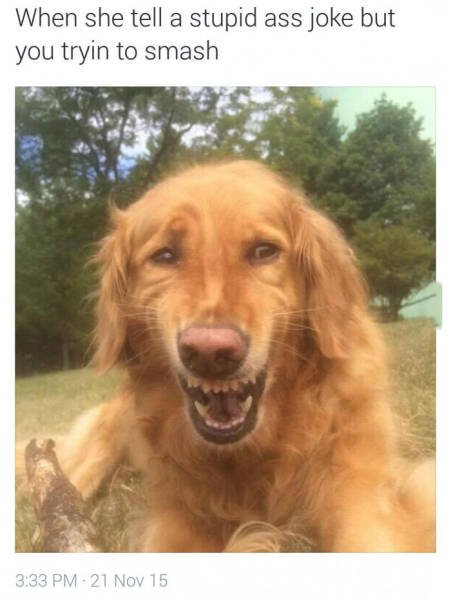 Bildschirmarbeiter - Picdump 27.11.2015