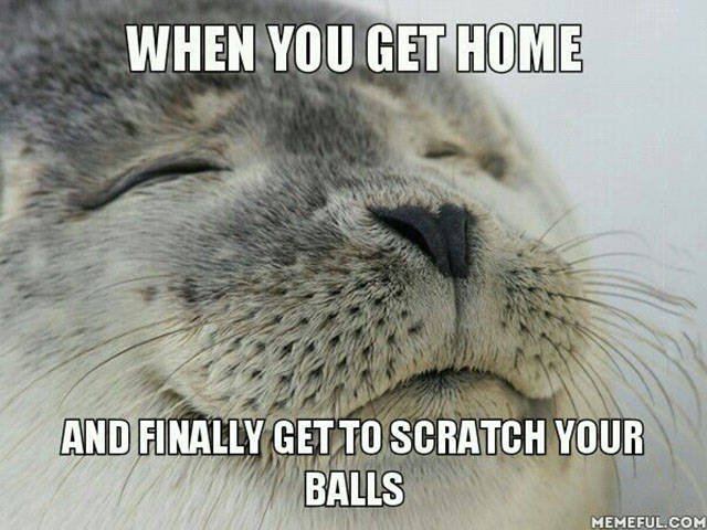 Bildschirmarbeiter - Picdump 27.11.2015