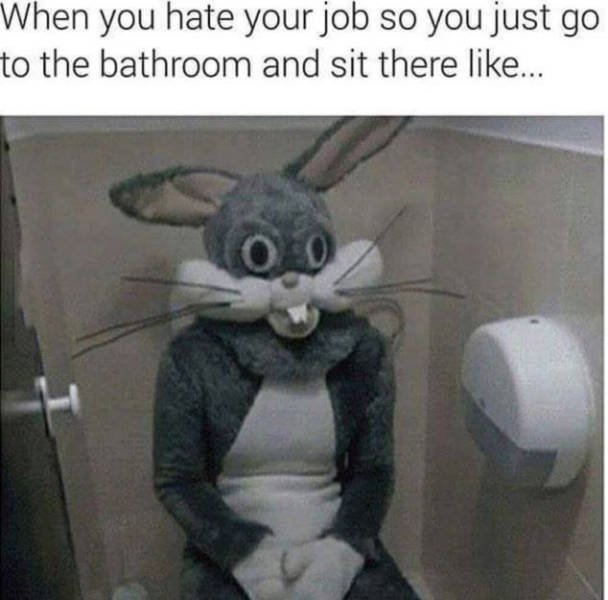 Bildschirmarbeiter - Picdump 27.11.2015