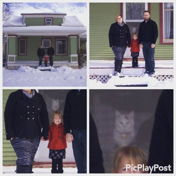 Bildschirmarbeiter - Picdump 27.11.2015